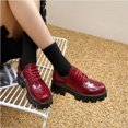 thumbnail image 1 of Bottes Cheville à Lacets à Plateforme Épaisse pour Femmes Chaussures en Cuir Brillant, 1 of 5