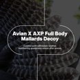 thumbnail image 2 of Avian X AXP Full Body Mallards Decoy, Ultra Realistic and Wind Activated, 6 Pack, 2 of 11