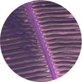 thumbnail image 1 of Ahgly Tapis Rond Lavable en Machine Intérieur Transitionnel Orchidée Violet, 5 Pieds Rond, 1 of 7