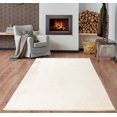 thumbnail image 1 of LaDole Rugs 3x5 ft Fluffy Shaggy Area Runner Rug | Machine Washable Small Carpet For Entry Way, Hallway, Home Office, Entrance Indoor Floor Décor | Cream, 1 of 1