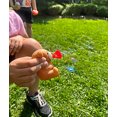 thumbnail image 3 of Lil'Squeezer Bubble Jouet Souffleur pour Enfants Ours Brun, 3 of 4