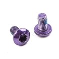 thumbnail image 3 of Lefu MTB Mountain Bike Stainless Disc Brake Rotor Bolts (12 Pack) M5 X 9mm, T25 Torx, 3 of 9