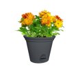 thumbnail image 4 of Misco 11.5IN FLARE SW Planter GREY, 4 of 5