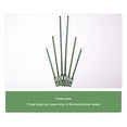 thumbnail image 2 of Unatoiry 50pack/lot Garden Belt Strong And Durable Support For Plants Long Lasting green 13cm 1Set, 2 of 6