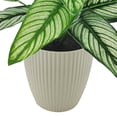 thumbnail image 4 of Mainstays 10in Indoor Artificial Plant in Pot, Green Color Calathea, 4 of 5