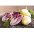 thumbnail image 4 of GSDWIUEW Italian Radicchio and Endive Chicory Mix Seeds for Planting Salad Around 700 Seeds, 4 of 8