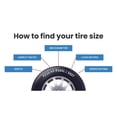 thumbnail image 4 of Rovelo Instinct AS01 225/50R17 XL 95H tire, 4 of 6