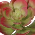 thumbnail image 4 of Tige de Plante Artificielle Succulente d'échévérie, 4 of 6