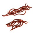 thumbnail image 3 of Bgsha 20pcs Artificial Earthworm Fishing Lure 8cm 10cm Simulation Earthworm Soft Bait, 3 of 5