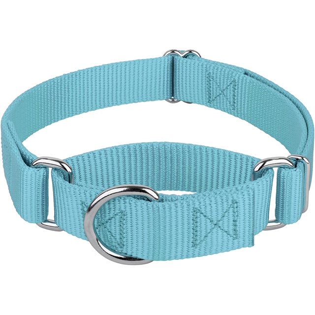 Country Brook Petz Martingale Dog Collar - Heavy-Duty Training Collar with No Buckle - Service Dog Collar for All Pups - Vibrant, Colorful Collection (Ocean Blue, 3/4 Inch, Small)