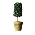 thumbnail image 2 of Elodie Artificial Potted Flower Bonsai Plastic Plant Tree for Table Desktop Garden decorative creative Gifts 4, 2 of 8