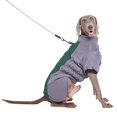 thumbnail image 1 of SIfdSeng Dog Shirts for Small Dogs Girl Reflective Warm Pet Clothing Thickened Dog Clothing Large Dog Clothing Dog Shirts for Small Dogs Cotton Dog Clothes for Small Dogs Girl Custom, 1 of 3