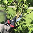 thumbnail image 5 of Branch Cutters Garden Bypass Pruners Tree Trimmer with Safety Lock, 5 of 5