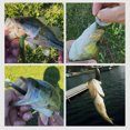 thumbnail image 2 of 10Pcs Lure Bait Fishing Soft Loach Artificial Bionic Tail Bass Tackle Fake Goods Moving Bouncing Sinking Swimming Accessory C Small, 2 of 9