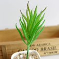 thumbnail image 1 of Artifical Plastic Succulent Plant Echeveria Flower Home Office Decor, 1 of 9