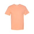 thumbnail image 1 of Hanes Men's Authentic-T T-Shirt, 1 of 1
