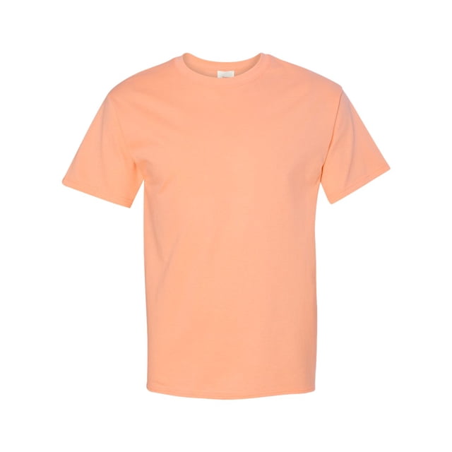 Hanes Men's Authentic-T T-Shirt