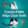 thumbnail image 4 of Friskies Party Mix Croquant Festin Tropical Gâteries pour Chats, 4 of 9