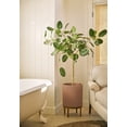 thumbnail image 3 of Veradek Demi Series Raised 16" Plastic-Stone Planter - (Terracotta/Brown, 1 Pack), 3 of 10
