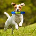 thumbnail image 2 of Nerf Dog TPR EXO Squeak Stick Dog Chew Toy 6in, 2 of 4