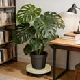 thumbnail image 1 of Wooowa Plant Saucer with Wheels - Thickened Plastic Movable Flower Pot Tray, Water Collection Base for Planters, 1 of 6