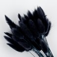 thumbnail image 2 of CAROOTU 50 Pcs Dried Flower Grass Decoration Photography Props for Home Store Wedding, 2 of 5
