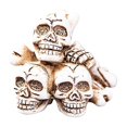 thumbnail image 1 of Petites Décorations d'Halloween Tête de Squelette & Figurines en Résine Effrayantes Revivifiées, 1 of 1