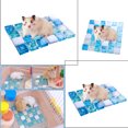 thumbnail image 2 of Hamster Tapis Rafraîchissant pour en Pierre de Cristal, Tapis Rafraîchissant pour Animal, Tapis de Sommeil pour Petits Animaux, 2 of 9