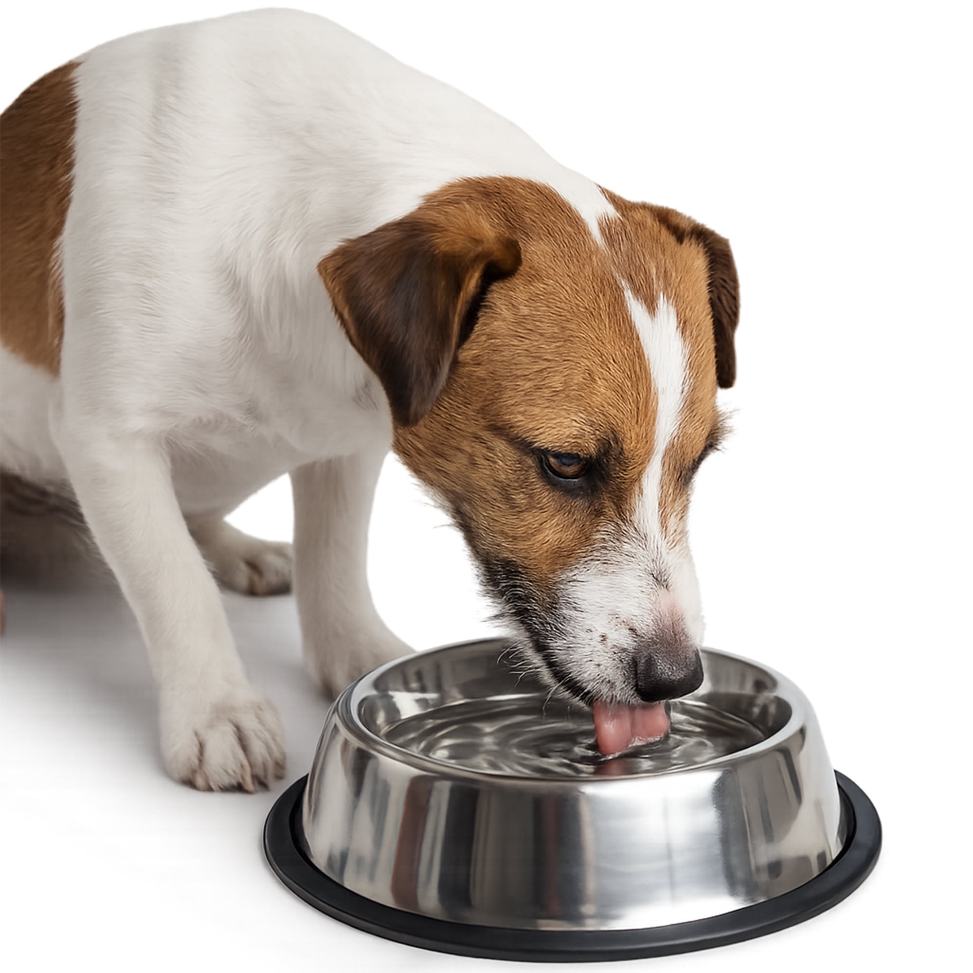 One Paw, Gamelle en Acier Inoxydable pour Chiens et Chats, Idéale pour la Nourriture, 950 ml