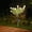 White#3, variant on Solar Powered Gardenia Flower Lamp | 7-Head Artificial Garden Stake Light for Outdoor Yard Patio Decor | Waterproof Solar Lights for Garden Pathway Landscape Decoration