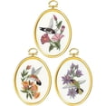 thumbnail image 1 of Janlynn 004-0864 Hummingbirds cross Stitch Supplies, Multi-colored, 1 of 2