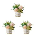 thumbnail image 2 of relayinert Simulation Flower Set Low Maintenance Easy To Clean Fake Peony Silk Hydrangea Flower Silk Artificial Flowers With Vase Pinellia Champagne 3Set, 2 of 6