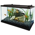 thumbnail image 4 of Tetra Complete LED Aquarium Kit 10GL, 4 of 6