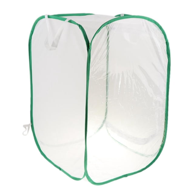 GROWTH TANK Pliant Insecte Papillon Habitat Net Terrarium Élevage Cage 40x40x60cm