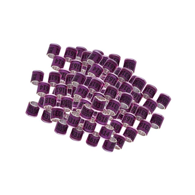 Yingyy 100 Pcs 2022 Anneaux de Pied de Pigeon de Course en Aluminium Dove Entraînement des Chiffres 8 mm Violet