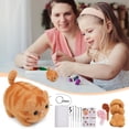 thumbnail image 1 of Needle Felting Kit Animals Needle Felting Kits For Beginners Cats DIY Felting Wool And Needles Set With Instruction For Needle Felting Crafts, 1 of 2