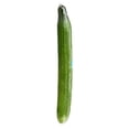 thumbnail image 3 of Cucumber, English, Sold in Single Wrap, 3 of 6