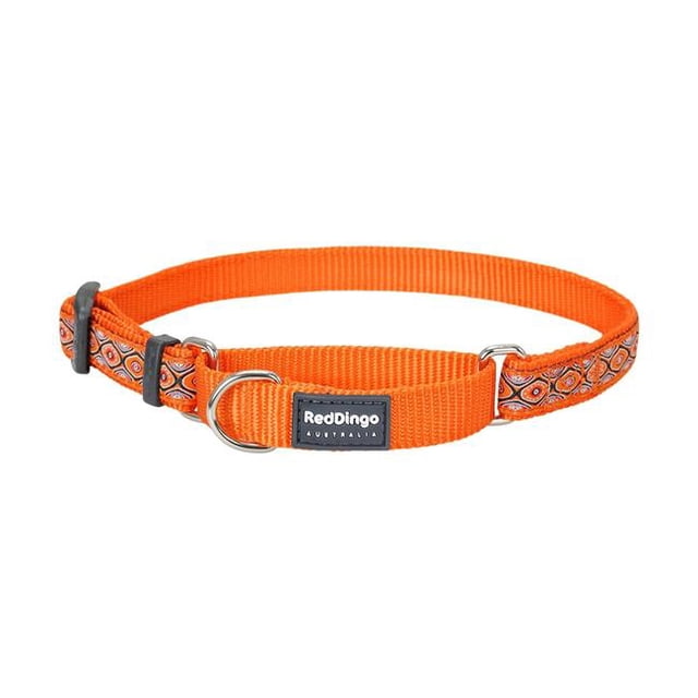 Red Dingo MC-SE-OR-15 Martingale Design Design Snake Eyes Orange - Small