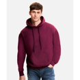 thumbnail image 2 of Fruit Of The Loom Chandail à Capuchon Classique pour Hommes/femmes, 2 of 3