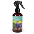 thumbnail image 1 of ScentSationals Room Spray - Peppermint & Lavender, 1 of 3