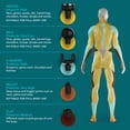 thumbnail image 4 of Homedics Pistolet de Massage Mini MYTI, 4 of 7