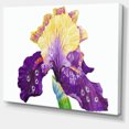 thumbnail image 2 of Iris Bleu Jaune en Fleurs - Impression sur Toile Florale, 2 of 3