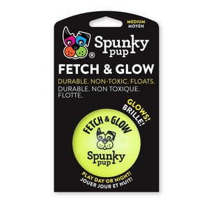 Fetch & Glow Ball Dog Toys