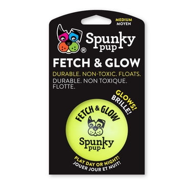 Fetch & Glow Ball Dog Toys
