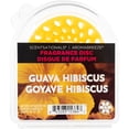 thumbnail image 1 of ScentSationals AromaBreeze Fragrance Disc Guava Hibiscus, 1 of 6
