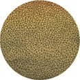 thumbnail image 1 of Ahgly Company Tapis d'Intérieur Ronds Transitionnels Jaunes Lavables à la Machine, 5 Pieds Rond, 1 of 7