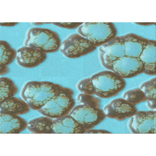 Ahgly Company Machine Washable Indoor Rectangle Transitional Hazel Green Area Rugs, 2' x 5'