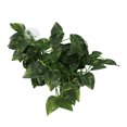 thumbnail image 3 of Simulation Rattan Landscaping, Neatly Cut Edges No Burrs Variety Of Models Hanging Plant False Vine  For Aquariums For Daily For Reptile Boxes For Fish Tanks NFF-81 Conch Leaf, 3 of 8