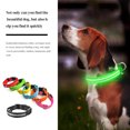 thumbnail image 3 of Collier Lumineux pour Animaux de Compagnie Rechargeable par USB, Collier Lumineux à LED avec Sangle, Rose, P, 3 of 8