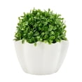 thumbnail image 1 of Anko Artificial Topiary in Wave Pot, 1 of 5